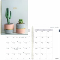 Blueline Succulent Plant 14-Month Monthly Planner, 11"x 8-1/2" , Bilingual - Monthly - 14 Month - December 2024 - January 2026 - 1 Month Single Page Layout - Twin Wire - Gold - Paper - Poly Cover - 0.5" (12.70 mm) Height x 8.8" (222.25 mm) Width - Daily Block, Notes Area, Tear-off - 1 Each