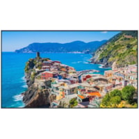 Panasonic TH-65EQ2W 65" Class 4K Digital Display - 64.5" (1638.30 mm) LCD - 18 Hours/Day Operation - 3840 x 2160 - LED - 500 cd/m² - 2160p - HDMI - USB - SerialEthernet