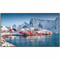 Panasonic Digital Signage Display SQE2 TH-75SQE2W - 74,5 po (1892,30 mm) LCD - ADS - 24 Heures/7 Jours Operation - 3840 x 2160 - Direct LED - 500 cd/m² - 2160p - HDMI - USB - Série - Réseau sans-fil - Bluetooth - Ethernet - Android - Noir