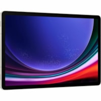 B2B GALAXY TAB S9 12GB 256GB