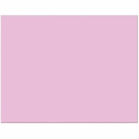 Pacon® 4-Ply Railroad Board - Construction, Art Project, Mat, Mounting, Stenciling, Poster, Chart, Painting, Marker - 22" (558.80 mm) Width x 28" (711.20 mm) Length - Pink - 1 Each