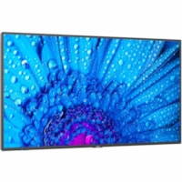 NEC Display 86" Ultra High Definition Professional Display - 86" (2184.40 mm) LCD - In-plane Switching (IPS) Technology - High Dynamic Range (HDR) - 24 Hours/7 Days Operation - 3840 x 2160 - 16:9 - 8 ms - Direct LED - 500 cd/m² - 2160p - Speakers - HDMI - USB - SerialEthernet - Raspberry Pi - E