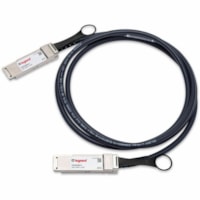 Ortronics DAC Network Cable - 1.6 ft DAC Network Cable for Network Device - First End: 1 x QSFP+ Network - Second End: 1 x QSFP+ Network - 40 Gbit/s