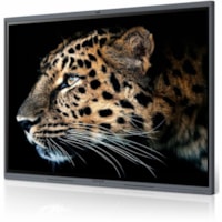 MaxHub V6 Classic C7530 Collaboration Display - 75" (1905 mm) LCD - Infrared (IrDA) - Touchscreen - 16:9 Aspect Ratio - 3840 x 2140 - Direct LED - 350 cd/m² - 5,000:1 Contrast Ratio - 2160p - USB - HDMI - Windows 10, Windows 8, Windows 7, Windows XP