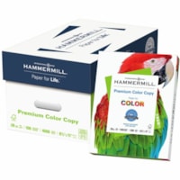 Hammermill Copy & Multipurpose Paper - 100 Brightness - 11" (279.40 mm) x 17" (431.80 mm) - 28 lb (12700.59 g) Basis Weight - 105 g/m² Grammage - Ultra Smooth - Jam-free, Acid-free - Photo White - 500 Sheets per Ream - 1