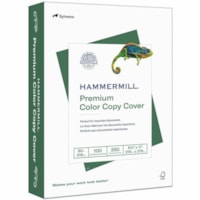 Hammermill Color Copy Paper - 100 Brightness - 98% Opacity - Letter - 8 1/2" (215.90 mm) x 11" (279.40 mm) - 80 lb (36287.39 g) Basis Weight - 216 g/m² Grammage - Ultra Smooth - Acid-free, Printable, Jam-free - Photo White - 2000 Sheets - 250 Sheets per Ream - 2000 / Carton