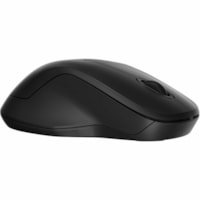 HP 255 Mouse - Full-size Mouse - Optical - Wireless - 32.81 ft (10000.49 mm) - Bluetooth/Radio Frequency - 2.40 GHz - Black - USB Type A - 1600 dpi - Scroll Wheel - 3 Button(s) - Symmetrical - 1 x AA Battery Supported