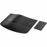 Clavier 965 - Sans fil Connectivité - USB Type A Interface - Anglais (USA) - Noir HP - Sans fil Connectivité - Bluetooth - 33 pi (10058,40 mm) - USB Type A Interface - Dictée, Modifier la langue Raccourci-clavier(s) - Windows 10, Windows 11, Mac OS, ChromeOS - Anglais (USA) - Po