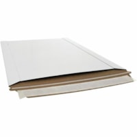 EDGE Mailer - 10 1/2" Width x 12 3/4" Length - Peel & Seal - 250 / Box - White