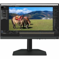 Photographer SW242Q 24" Class WQXGA LED Monitor - 16:10 - 24.1" Viewable - In-plane Switching (IPS) Technology - LED Backlight - 2560 x 1600 - 1.07 Billion Colors - 400 cd/m² - 5 ms - HDMI - DisplayPort - USB Hub, KVM Switch