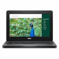 Dell - Chromebook 2 en 1 Chromebook 3000 3120 11,6 po Écran tactile Convertible - HD - (Intel N-Série N100) - 4 Go - 64 Go Mémoire Flash - Anglais (USA) Clavier - Gris - Intel Morceau - 1366 x 768 - ChromeOS - Intel UHD Graphics - Technologie IPS - Appareil photo/Webcam - IEEE 802.11be