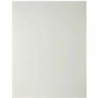 Mark Maker Frosted Acetate - Letter - 8 1/2" (215.90 mm) x 11" (279.40 mm) Sheet Size - Frosted Paper - Square Corner - 100 / Pack