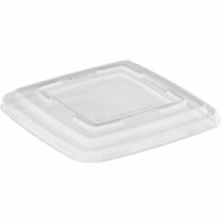 Eco Guardian 28 oz Square Fibre Compostable Container Lid - Polyethylene Terephthalate (PET) - Clear - 50 / Pack