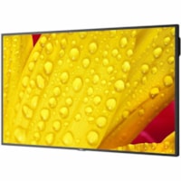 Sharp NEC Display 65" Ultra High Definition Professional Display - 65" (1651 mm) LCD - In-plane Switching (IPS) Technology - High Dynamic Range (HDR) - 24 Hours/7 Days Operation - 3840 x 2160 - 16:9 - 4K UHD - 8 ms - Direct LED - 500 cd/m² - 2160p - HDMI - USB - SerialEthernet - Energy Star