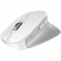 STREAM Mouse Comfort - Wireless - 32.81 ft (10000 mm) - Radio Frequency - 2.40 GHz - Pale Gray - USB Type A - 4000 dpi - Scroll Wheel - 6 Button(s) - Medium/Large Hand/Palm Size - Right-handed - 1 x AA Battery Supported