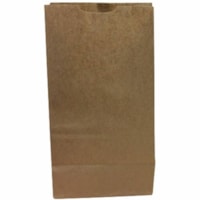 3-LB C/R KRAFT LIGHT BAG