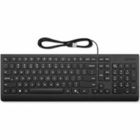Lenovo Essential Wired Keyboard Black French Canadian 058 - Cable Connectivity - USB Type A Interface - CoPilot Hot Key(s) - Windows 10, Windows 11 - French (Canada) - PC - Plunger Keyswitch - Black