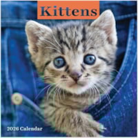 TF Publishing 2026 Kittens Mini Calendar - 12 Month - January 2026 to December 2026 - 7" (177.80 mm) x 7" (177.80 mm) Sheet Size - Wall Mount - Multi - Paper - Monthly Grid, Bonus Month, Plastic-free