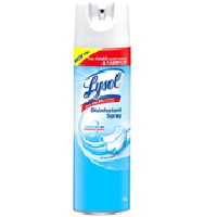 Lysol Spray - Can 596g (Shoe Spray) 1 pk - 12 cans -FR